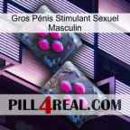 Gros Pénis Stimulant Sexuel Masculin 01